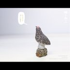 作品ライチョウ（オス・夏毛）のメモクリップ