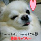 作品【koma.fuku.mame1234 様専用】ミニチュア手乗りﾐﾆｶﾞｰﾃﾞﾝ3わんこ🍓チワワ