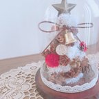 作品クリスマスツリー ドーム