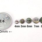 作品Doll製作に最適　小さい貝ボタン　黒蝶貝　まっ平ら型 SH1120 2穴 4mm〜　10個セット