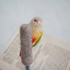 作品ペンにとまるインコ　ウロコインコ