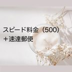 作品スピード料金（500円）＋速達郵便