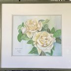 作品透明水彩でバラを描く　Rose for You　スイートマスタード