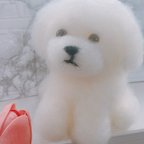 作品ビションフリーゼ　犬　白わんこ　羊毛フェルト