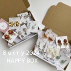 作品(1/5まで販売)HAPPY BOX 2024 B e r r y  アクセサリー福袋