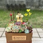 作品★送料無料★♡そのまま飾れる♡木箱♬リスちゃんの可愛い多肉植物寄せ植え╰(*´︶`*)╯♡