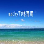 作品カラパナ　macky73様専用