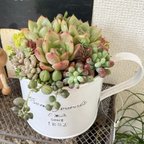 作品《母の日》多肉植物　寄せ植え　アレンジ　取っ手付き　ポット　ホワイト　白ポット