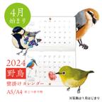 作品【4月はじまり】2024年壁掛けカレンダー A5/A4 野鳥が彩る12ヶ月　野ノ鳥 -nonotori-