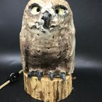 作品フクロウ置物🦉照明