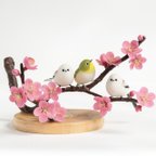 作品⭐️新作⭐️シマエナガとメジロ　梅の花【部屋の中で野鳥観察シリーズ】