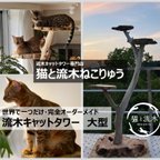 作品【猫と流木ねこりゅう】完全オーダーメイド　流木キャットタワー　大型タイプ