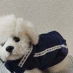 作品犬服セール　リボンかわいいワンピース