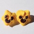 作品Twin×pansy mini ear accessory【yellow】