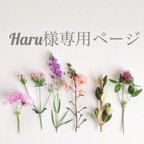 作品haru様専用ページ