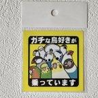 作品ガチな鳥好きが乗っています　シールステッカー　家鳥版（サイズ：６ｃｍ✕６ｃｍ）