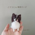 作品＊オーダー品＊手乗りうちの子🐾こてつくん