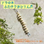 作品【小鳥のおもちゃ】ソラの木 ふわサクかじりん♬