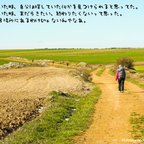 作品⑱【2枚組】サンティアゴ巡礼で集めた写真と拾った言葉