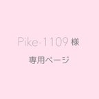 作品Pike-1109様専用ページ