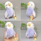 作品寝落ちインコ💤  〜ポテトチップスver.〜【セキセイインコ】