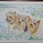 作品【kuu080420様オーダー品】愛犬イラスト