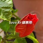 作品love-kr様専用 ペットボトルカバー