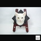 作品もあねこトロフィー:白猫