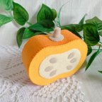 作品断面野菜シリーズ かぼちゃ単品🎃