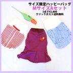 作品犬服　サイズ限定ハッピーバッグ＜Mサイズ-Aセット-＞送料無料