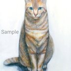 作品Tabby Cat 虎猫　真作　アクリル、色鉛筆絵画