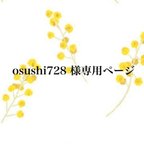 作品osushi 728様専用ページ オーダー ワンピース 130size