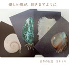 作品【地のクジャク】🦚