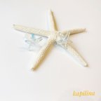 作品Starfish☆~美ら海の星砂入り~