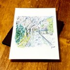 作品風景イラスト「桜」ポストカード2枚セット