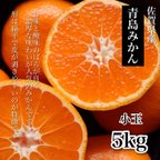 作品佐賀 青島温州 青島みかん5kg (小玉混合) 秀品〜優品 マルチ栽培 農園直送 コクがあり濃厚な味わい