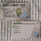 作品飼い鳥のための緊急連絡先カード-セキセイインコ版