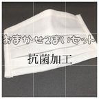 作品🌺何が入っているかな？抗菌加工生地のプリーツマスク2枚セット