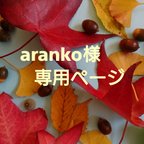 作品aranko様専用ページ