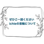 作品『ichieの首輪について』😸