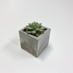 作品concrete pot small