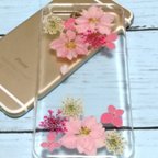 作品在庫処分 セール♪ 押し花 ケース flower case 【iphone 対応】 F02