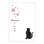 作品猫と桜の39card