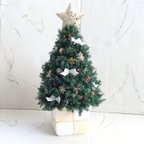 作品森のクリスマスツリー🎄(少し大きめサイズのヒムロスギのクリスマスツリー)高さ約40cm