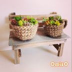 作品【送料無料】多肉植物　ティーカップの寄せ植え　カット苗