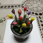 作品💛”新春”モダン陶器植木鉢　ミニチューリップ　