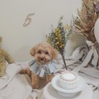 作品【犬用 スタイ】お祝いに 小物 / ドッグウェア 犬服　ハンドメイド　
