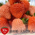 作品新潟県ブランド苺 越後姫 そうえん農場オリジナルの白い苺 えちご美人 30粒セット 2Lサイズ 約800g　2月から4月下旬まで