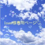 作品Izumi様専用