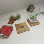 作品木とタイルのカフェコースター　☆ペア☆グレー色2セット　　カフェ　インテリア　無垢　木製　モザイクタイル　ウッド